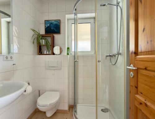a bathroom with a shower and a toilet and a sink at Haus zum Ordenswald in Neustadt an der Weinstraße