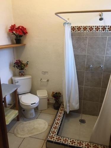a bathroom with a shower and a toilet at El Rincón de San Agustín Etla in San Agustín Etla