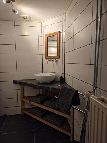 a bathroom with a sink and a mirror at Hoeve 1650 in Koekange