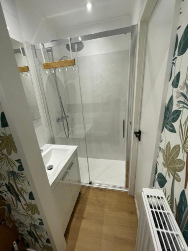 a bathroom with a shower and a sink at Coquelicot in Waulsort