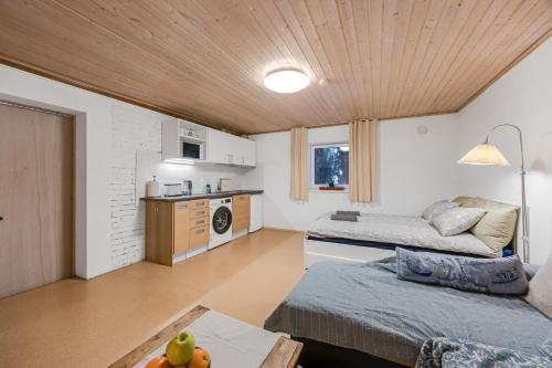 Cuina o zona de cuina de Studio with sauna