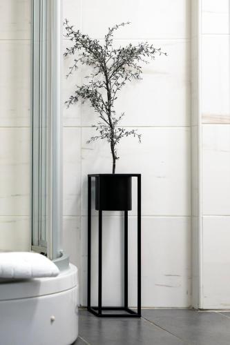 Like Zagreb - studio