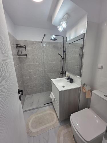 a bathroom with a shower and a toilet and a sink at Luna Studio in Hunedoara
