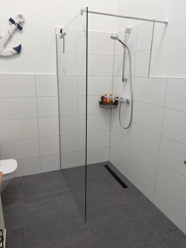 a shower with a glass door in a bathroom at Strandvilla GLOWE - Strandjuwel in Glowe