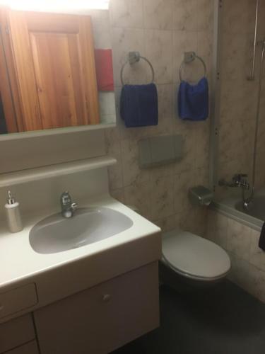 a bathroom with a sink and a toilet and a mirror at Wohnung 17, Marico in Zermatt