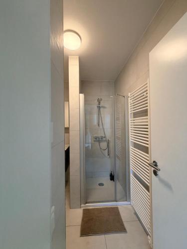 a bathroom with a shower with a glass door at Urban Nest Studio - Cloche d'Or in Luxembourg