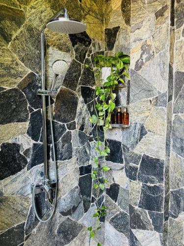 a shower in a stone wall with plants in it at Celestine's Hideaway in Kamburugamuwa