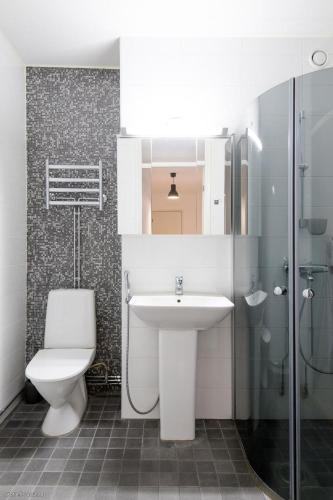 a bathroom with a sink and a toilet and a shower at Happy house katajanokka in Helsinki