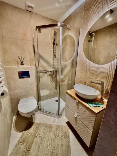 a bathroom with a shower and a toilet and a sink at Noclegi u Wojtka in Sromowce Wyżne