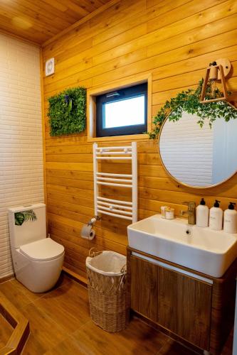 a bathroom with a sink and a toilet and a mirror at Natural cottage in Saguramo