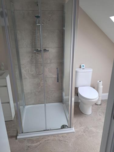 a bathroom with a shower with a toilet at Reek View Accommodation in Westport