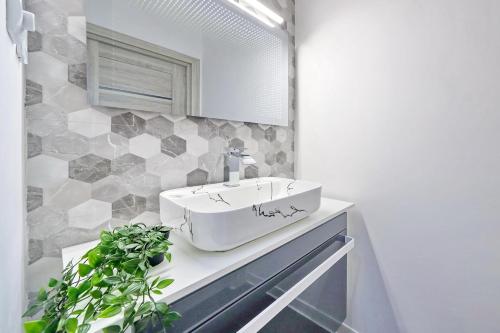 a bathroom with a sink and a potted plant at Residence Deluxe Benamino in Bran