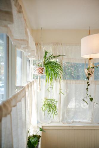 a window with a potted plant on a window sill at The Old Crowe Inn Bed and Breakfast in Fruita