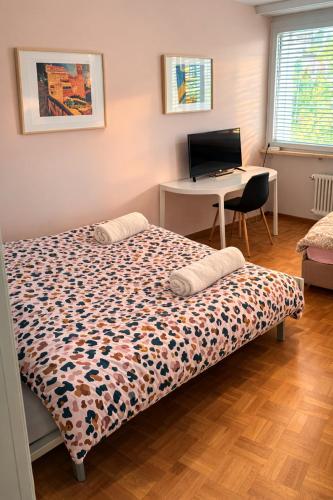 Cozy Flat in the Center of Kleinbasel