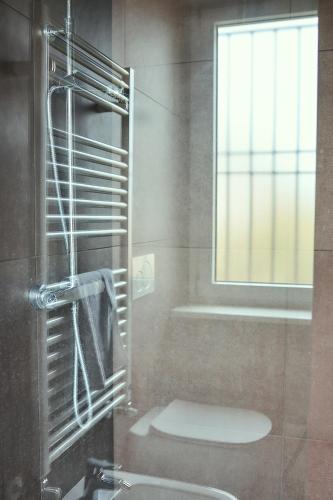 a bathroom with a shower with a toilet and a window at Vigne dei Mastri in Costigliole dʼAsti