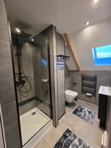 a bathroom with a shower and a toilet at Moderne Dachgeschosswohnung am Wald in Großnaundorf