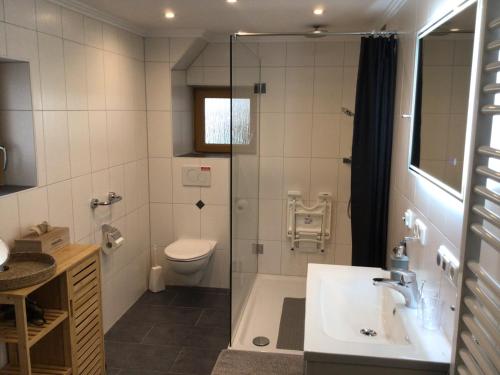 a bathroom with a shower and a toilet and a sink at Ferienwohnung Lederhose in Bischofswiesen