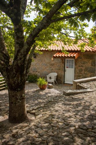 a brick house with a white door and a tree at Refugio dos Cartolas - Mountain Retreat in São Mamede