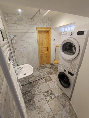 a bathroom with a washing machine and a sink at WildAlps-Apartments in Wildalpen