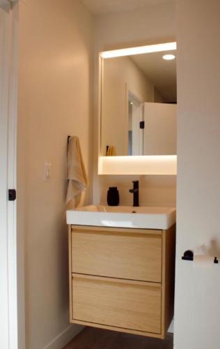 a bathroom with a sink and a mirror at Brùn House in Fort Saint John