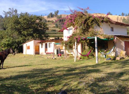 a horse standing in a yard next to a house at Shendao Eco Salud in Huaripampa
