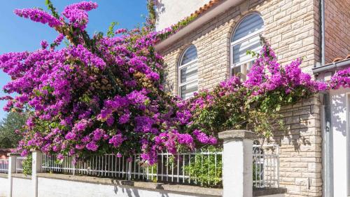 Apartments in Biograd na Moru 8034
