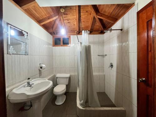 a bathroom with a sink and a toilet and a shower at Granja Doña Carmelita in Ibarra