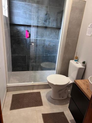 a bathroom with a toilet and a shower at Granja Bagdá in Araras Petropolis