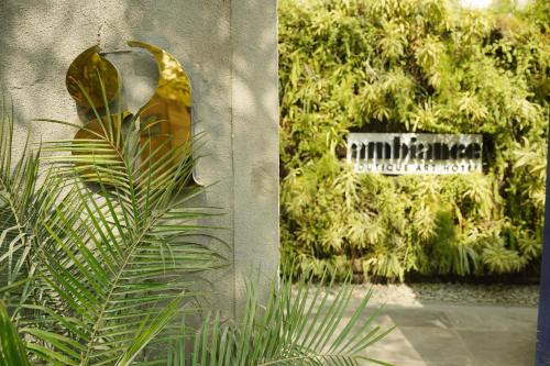 a plant in front of a wall with a sign at Ambiance Boutique Art Hotel Karachi in Karachi
