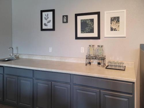 a kitchen with a counter top with a sink at Country Inn & Suites by Radisson, Appleton Airport - Fox River Mall Area in Appleton