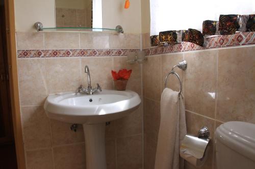 La salle de bains est pourvue d'un lavabo et d'un miroir. dans l'établissement Kluges Guest Farm, à Kibale