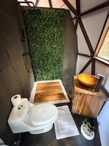 a bathroom with a toilet and a green wall at Domo Alto del Monte in Alto del Monte