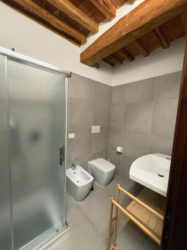 a bathroom with a shower and a toilet and a sink at Tuscany Charme Apartments in Asciano