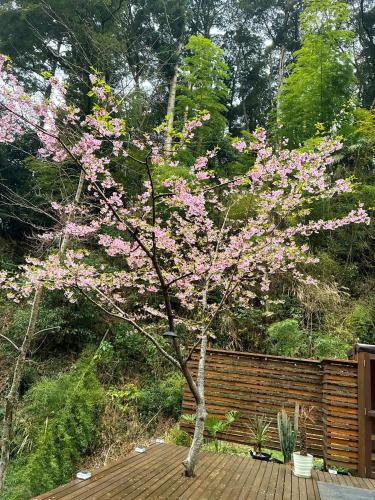 Jardí fora de vihrea