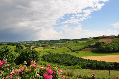 a view of a green field with pink flowers at B&B La Quercia in Moncalvo