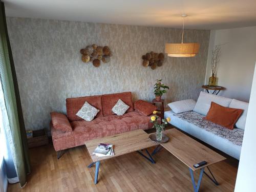 Grand appartement 80 m2 centre ville lumineux