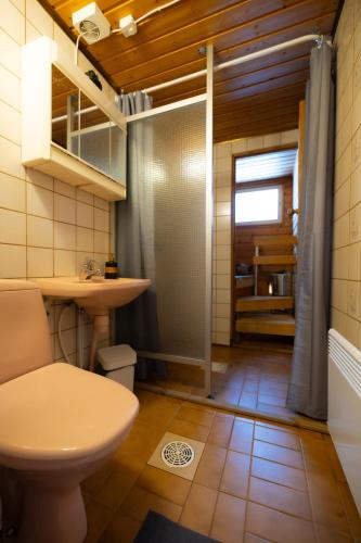 a bathroom with a toilet and a sink and a shower at Heidin Mummola Farm in Turtola