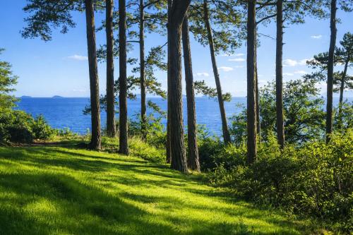 a path with trees and the ocean in the background at Church Path Rooms in Minehead