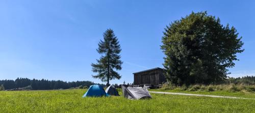 Camping auf der Alm