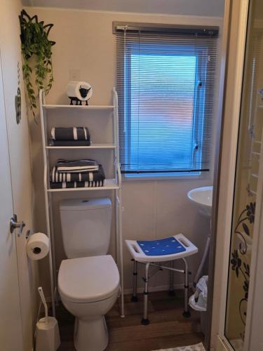 a small bathroom with a toilet and a sink at Luxury static caravan in Beattock