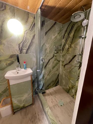 a bathroom with a sink and a shower at U Sovičky in Olešník