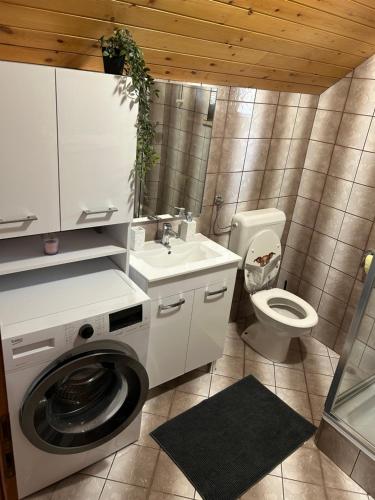 a bathroom with a washing machine and a sink at Chalet Rozika Rogla in Zreče