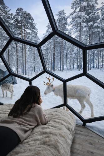 a woman looking out a window at a deer in the snow at SKOG Aurora Glass Igloos in Kalix