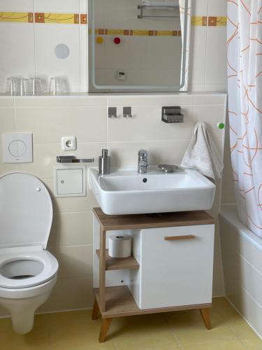 a bathroom with a sink and a toilet at Ferienhaus Dresden in Dresden