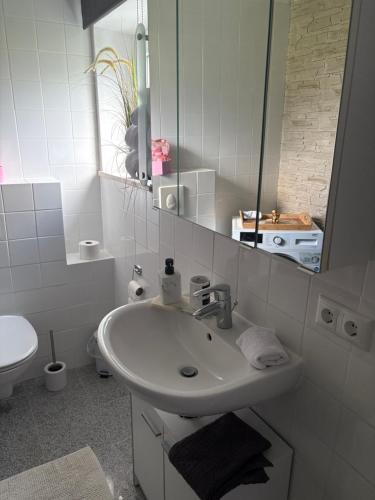 a bathroom with a sink and a mirror and a toilet at Appartementshaus Vlora 1 Einheit 2 in Bad Füssing