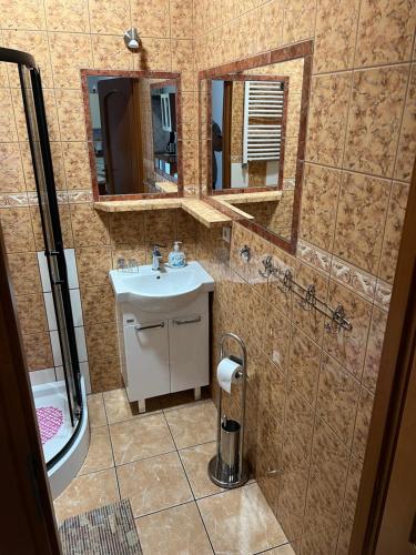 a bathroom with a sink and a mirror at Apartamenty w Helu in Hel