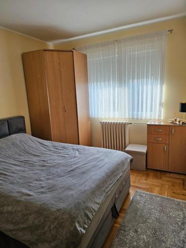 a bedroom with a bed and a dresser and a window at Apartman JOVANA in Dušanovac (historical)