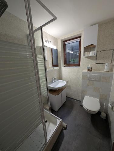 a bathroom with a shower and a toilet and a sink at Weinbergnest in Bad Dürkheim