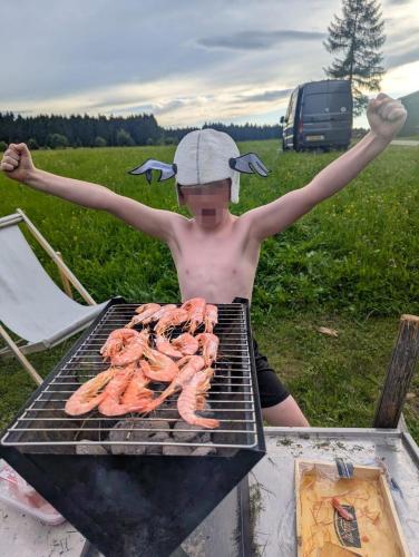 a boy with his arms in the air behind a grill at Almplatz mit Weitblick in Langschlag