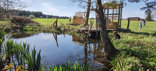 a pond with a tree and a house in a field at Almplatz mit Weitblick in Langschlag